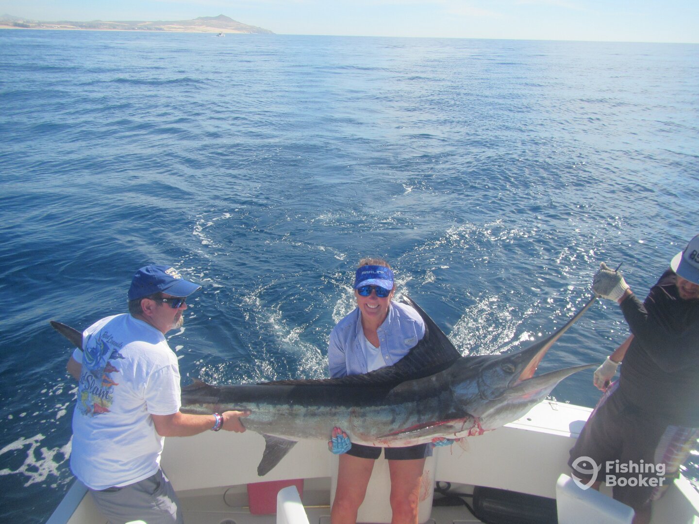 Cabo San Lucas Report Photo 0
