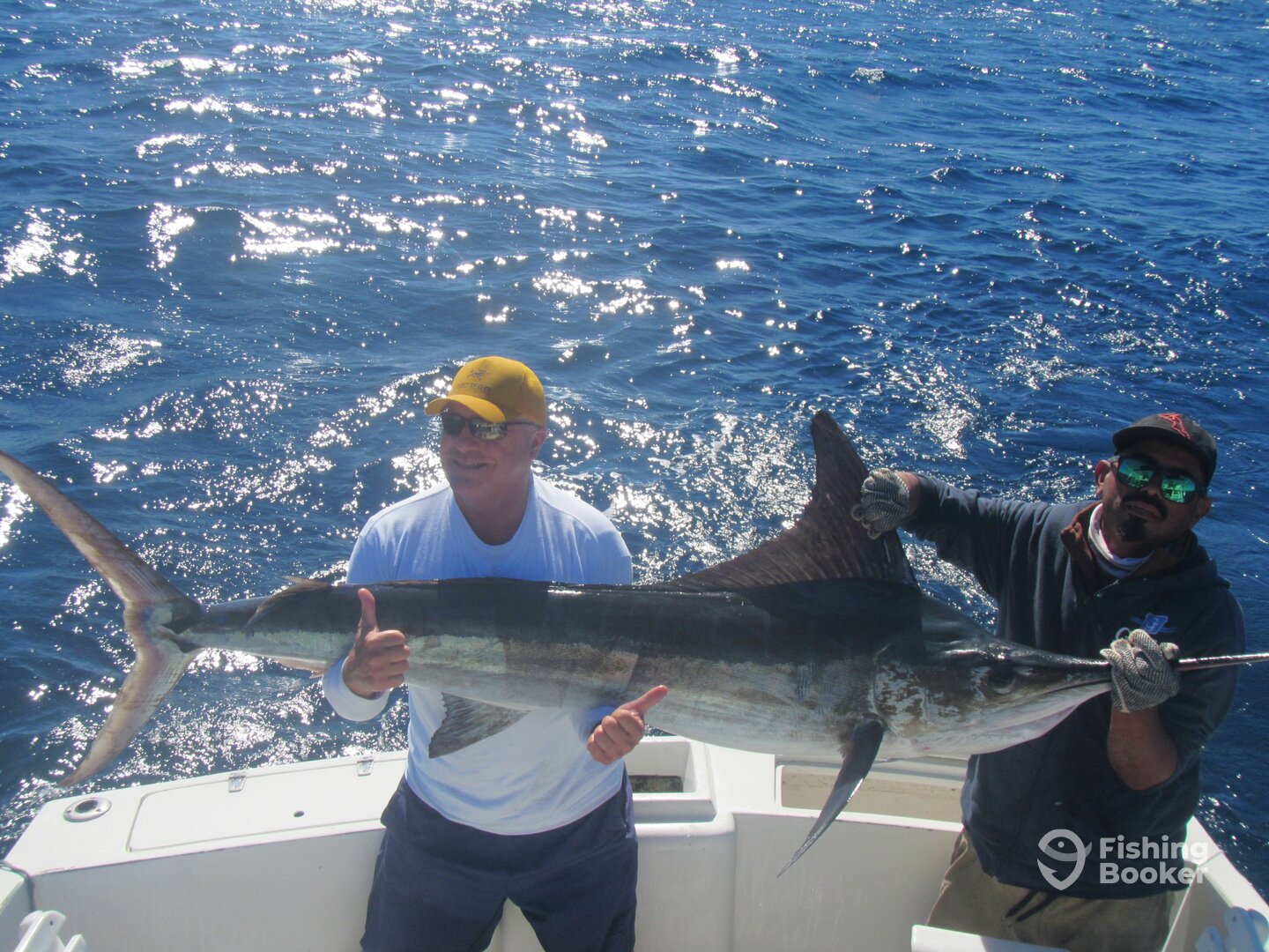 Cabo San Lucas Report Photo 0