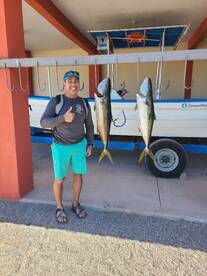 Yellowtail 