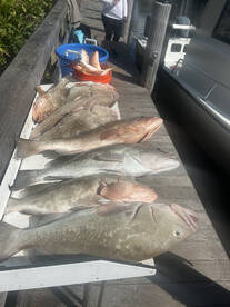 Nice weather and great fishing.