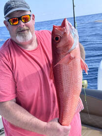 Queen Snappers @900ft #FishPlacencia