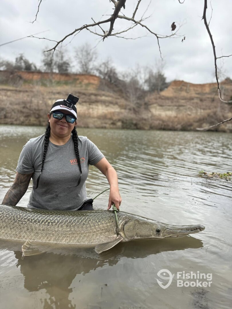 95-pound alligator gar