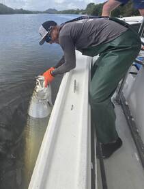 San Juan Report Photo 1