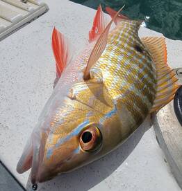 San Juan Report Photo 2