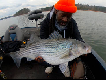 Atlanta Report Photo 1