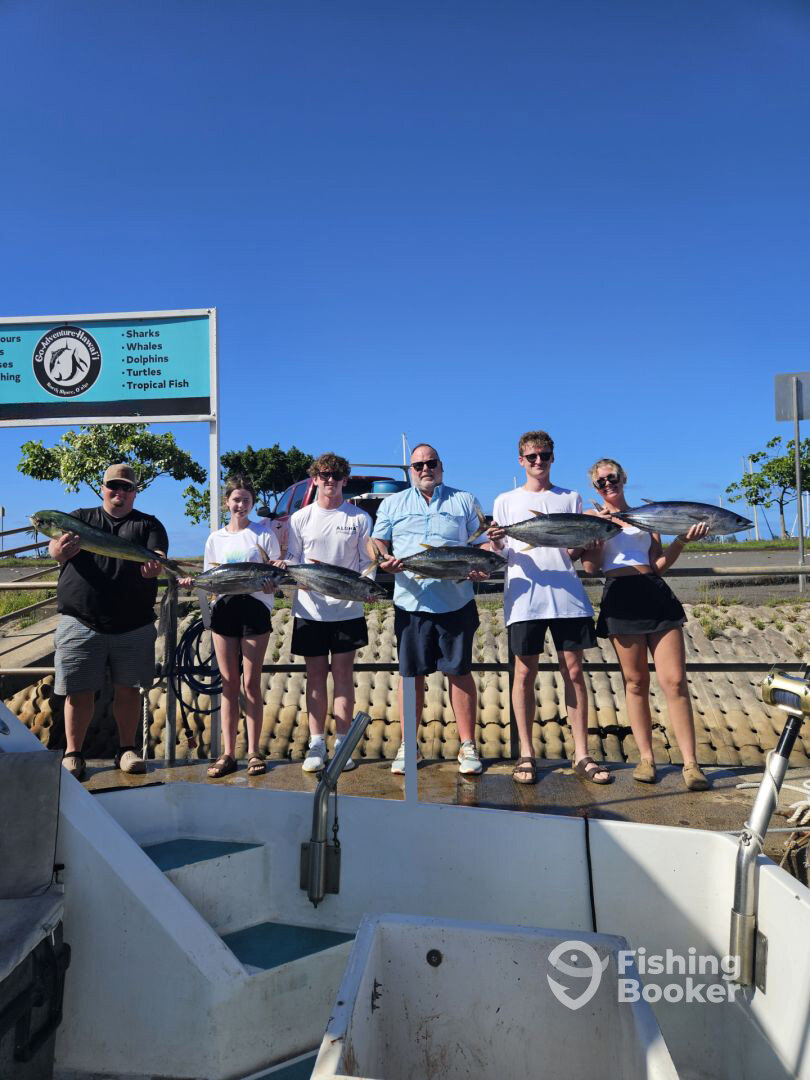 Haleiwa Report Photo 0