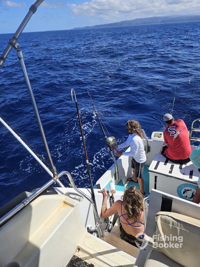 Haleiwa Report Photo 0