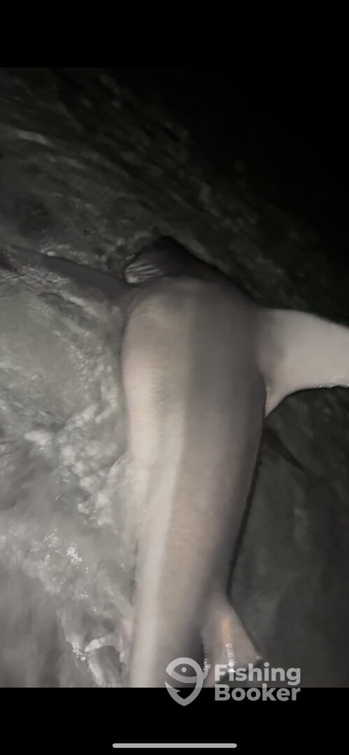 Destin Report Photo 0