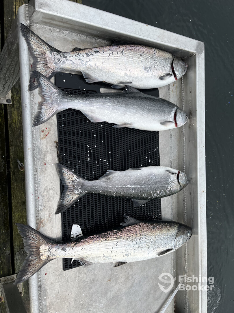Sooke Report Photo 0