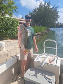 Nice Mutton Snappers 