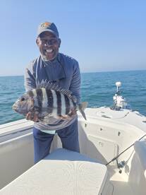 Sheepshead 