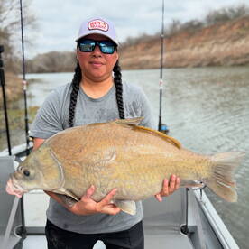 Huge Smallmouth Buffalo 