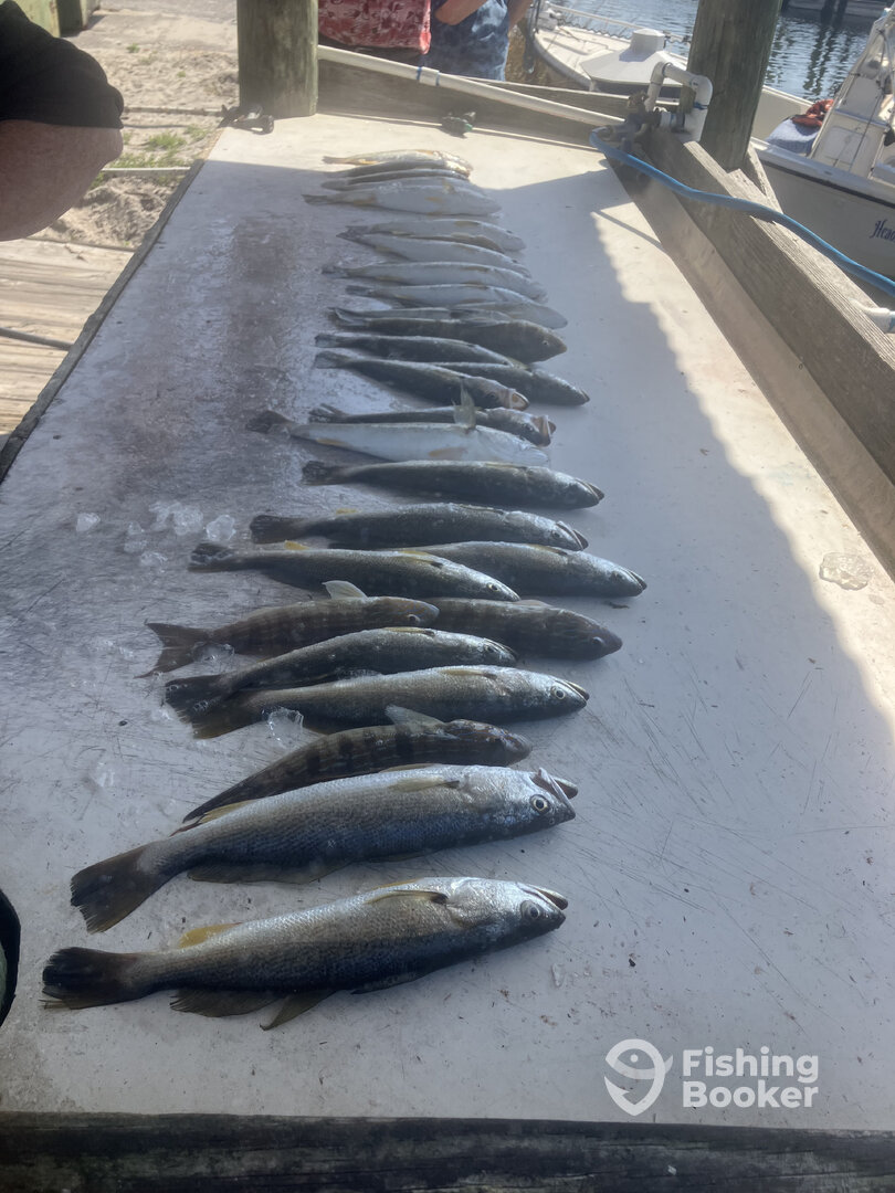Pensacola Beach Report Photo 0
