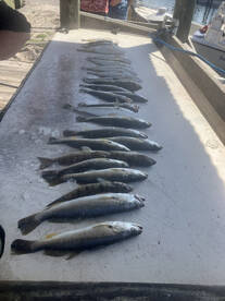 Bay fishing