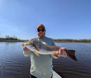 Redfish and Black drum round up