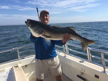 Montauk Report Photo 1