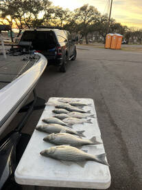 Austin Report Photo 2