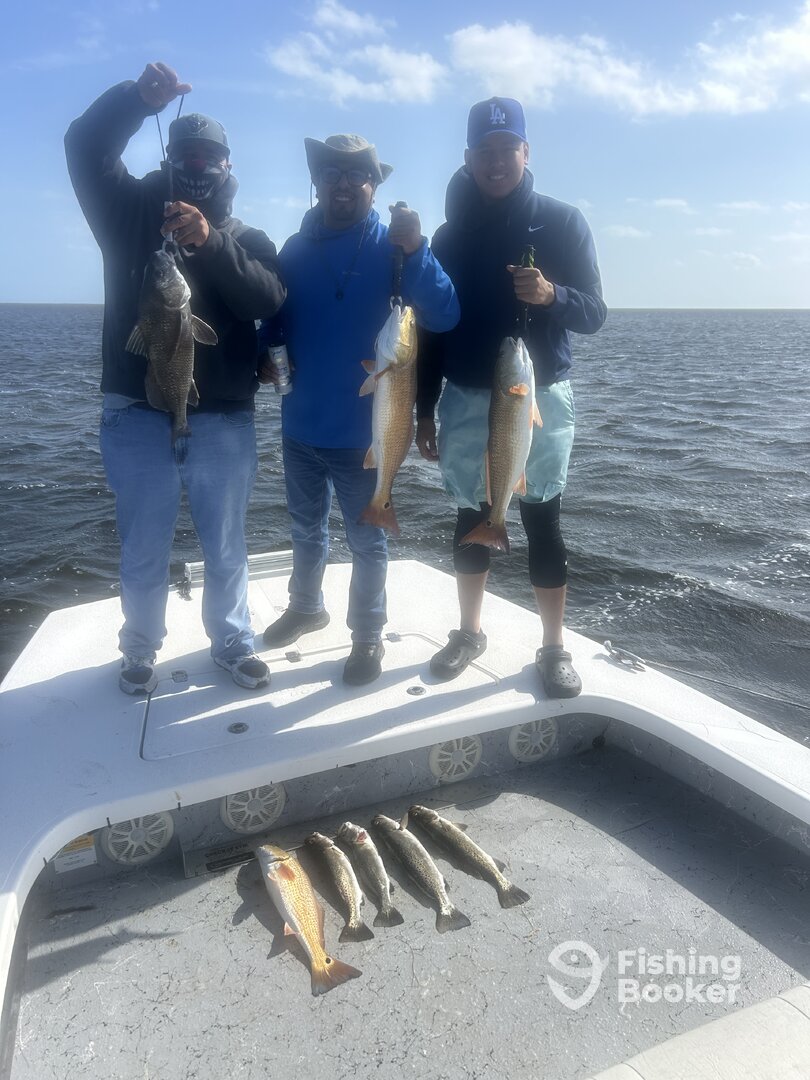 Port Isabel Report Photo 0