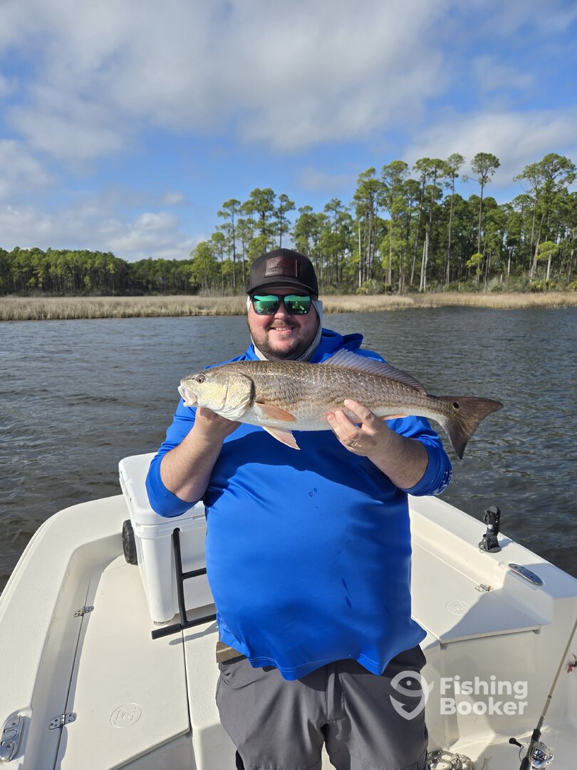 Panama City Report Photo 0