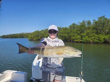 Redfish and snook are back 