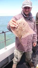 Skate come in all sizes. Pretty little fish, released unharmed. 