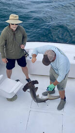 Nags Head Report Photo 2