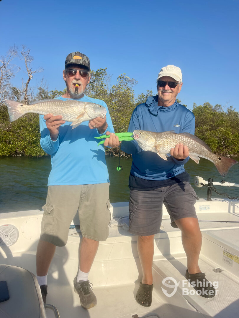 Punta Gorda Report Photo 0