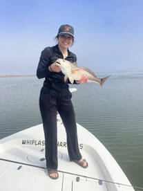 Savannah Report Photo 1