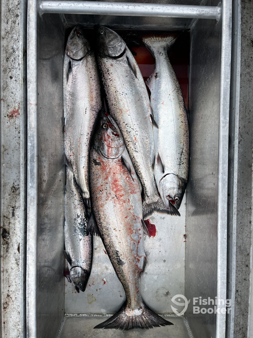 Sooke Report Photo 0