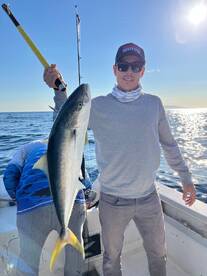 Yellow tail season start 2025 