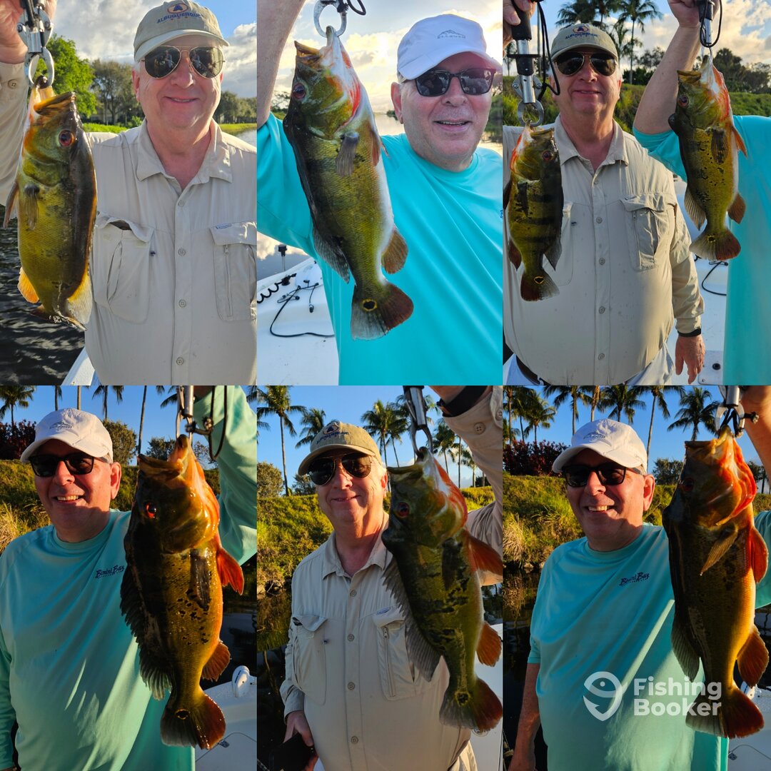 Delray Beach Report Photo 0