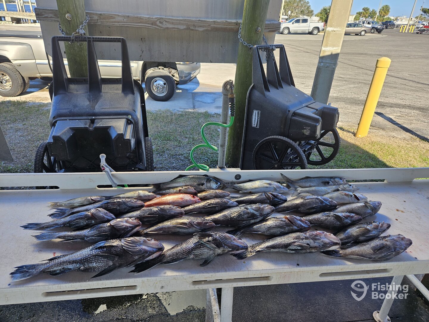 Jacksonville Report Photo 0
