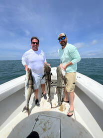 Beaufort Report Photo 2