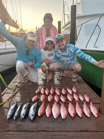 Spring Is Almost Here In Fort Lauderdale