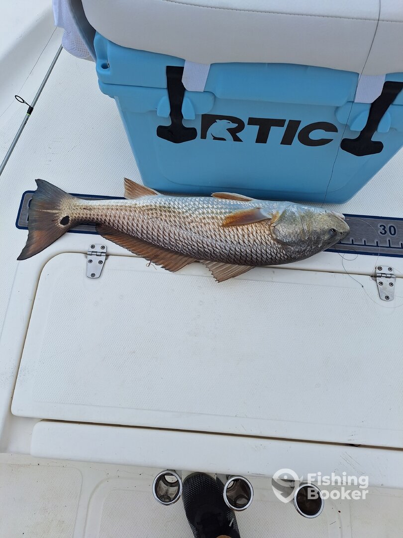 Hilton Head Island Report Photo 0