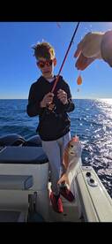 Torrevieja Report Photo 1
