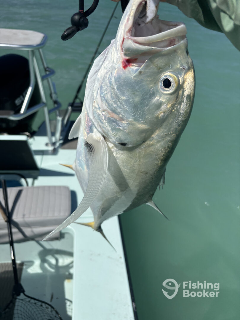 Key Largo Report Photo 0