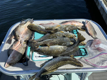 Key Largo Report Photo 1