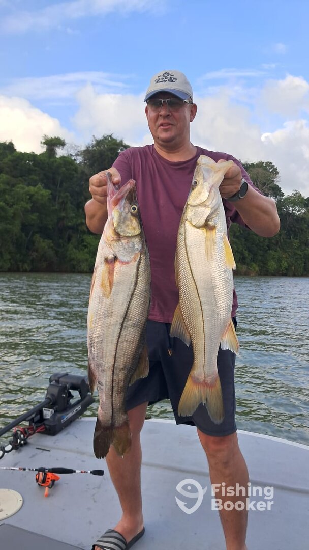Gamboa Report Photo 0