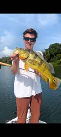 Gamboa Report Photo 2