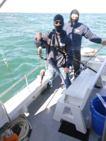 Sea bass doing good this morning