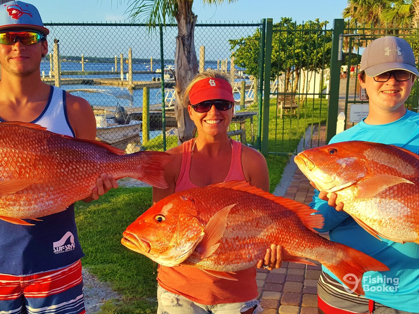 Orange Beach Report Photo 0