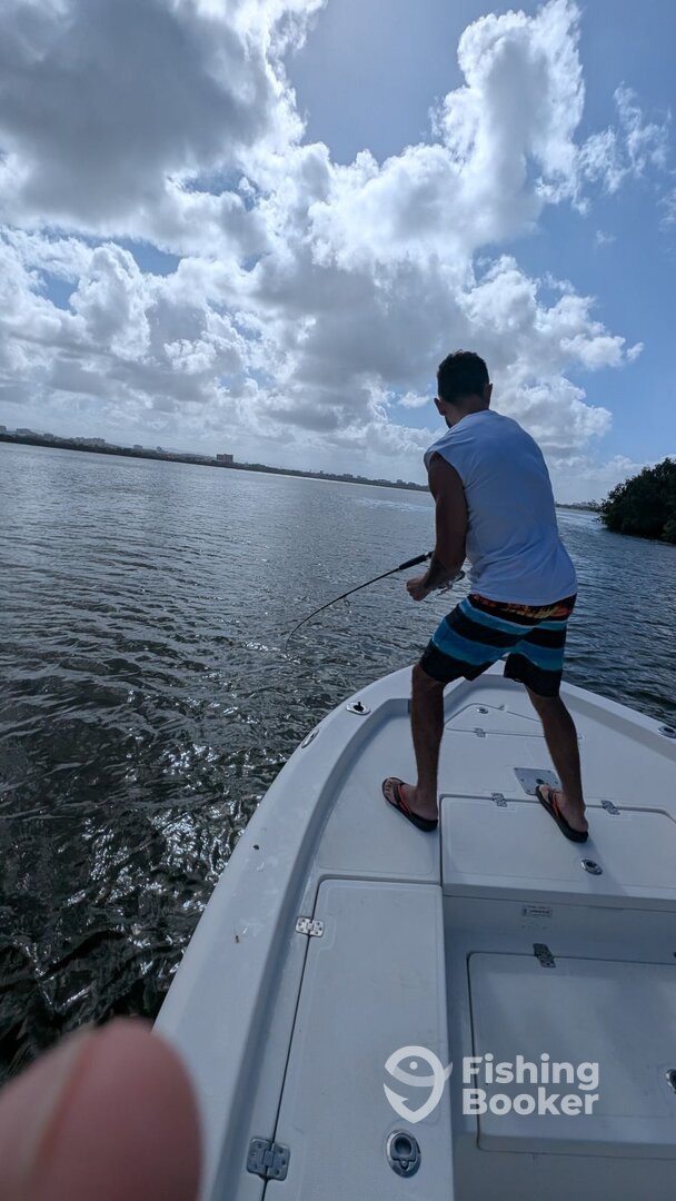 San Juan Report Photo 0