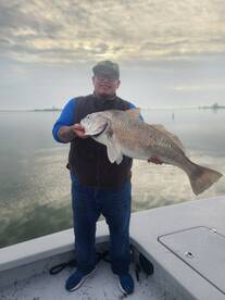 Dinosaurs do exist!!!