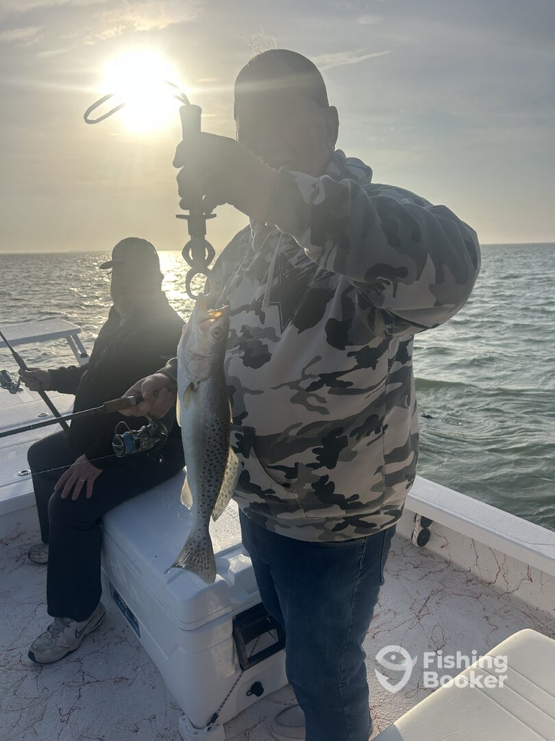 Port Isabel Report Photo 0