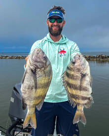 Big Sheepshead are chewing!