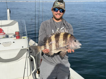 Steady Sheepshead action all afternoon!