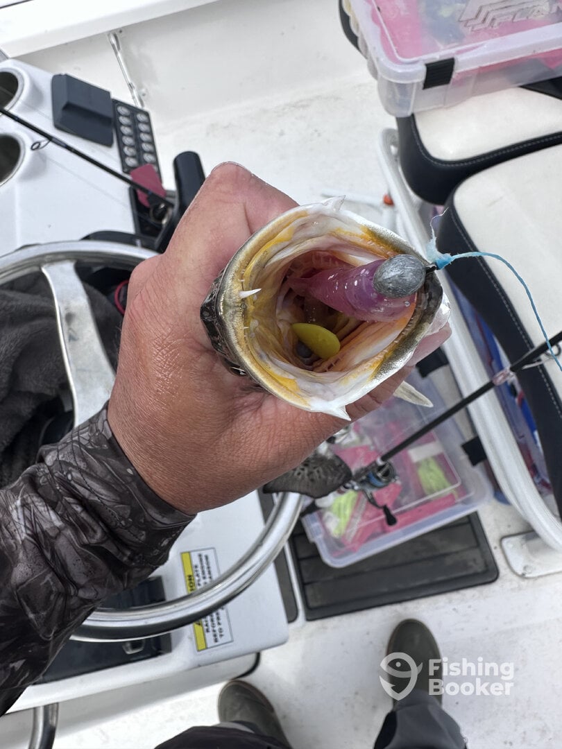 Lake Charles Report Photo 0