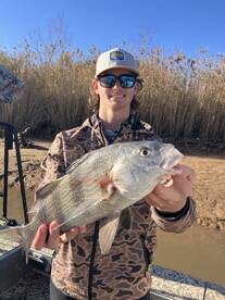 Spring is near!  Now booking for spring