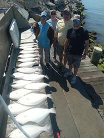 Chincoteague Report Photo 1